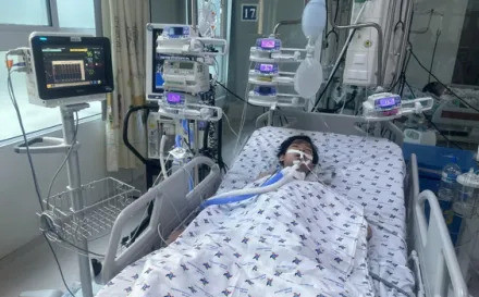 TP. Hồ Chí Minh: Can thiệp nội mạch cứu bé trai sốt xuất huyết kèm xuất huyết tiêu hóa