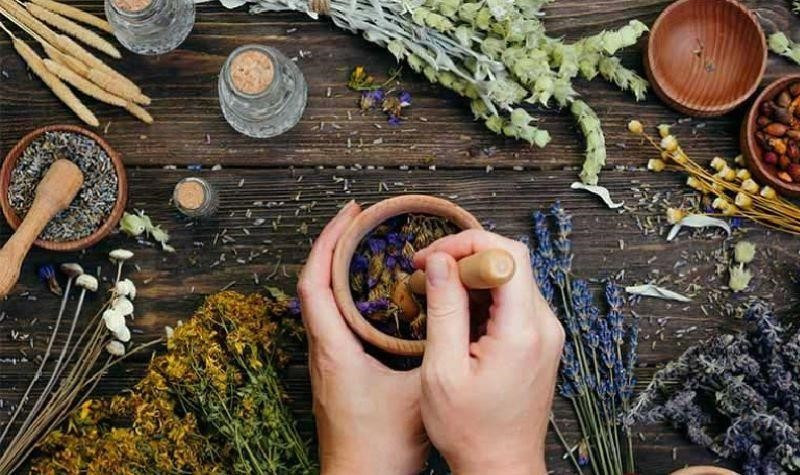 Bài thuốc hỗ trợ điều trị bệnh ung thư thận