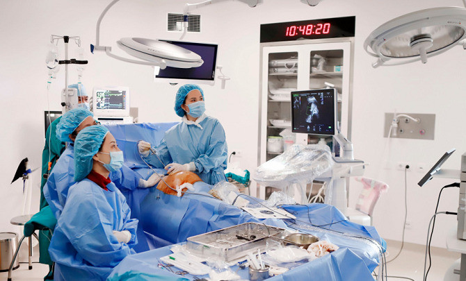 Ban hành các Nghị quyết trong lĩnh vực y tế để thực hiện Luật Thủ đô