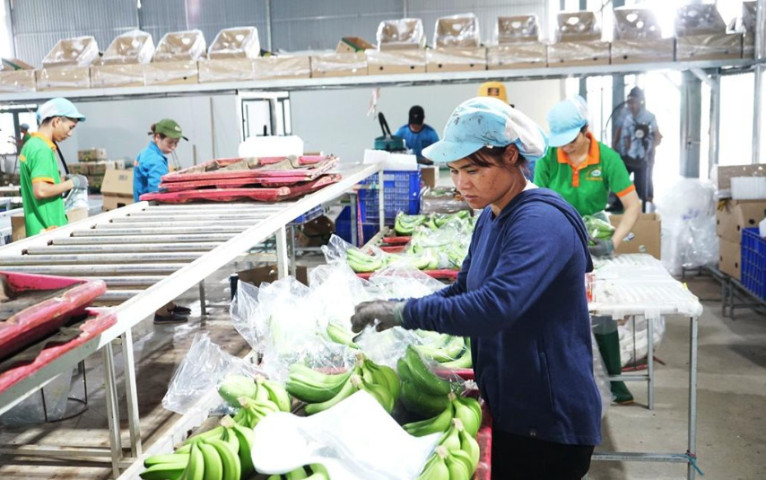 Đắk Lắk: Tăng cường biện pháp ổn định quan hệ lao động trong dịp Tết Nguyên đán Ất Tỵ 2025