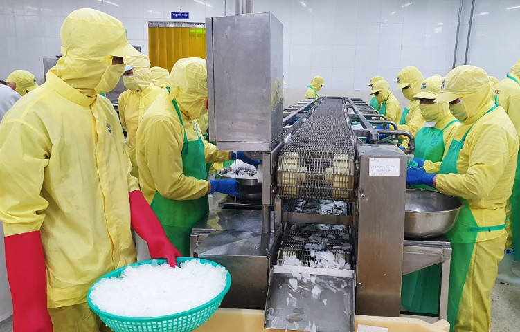 Cà Mau: Tiếp tục tăng cường sự lãnh đạo của Đảng đối với công tác an toàn vệ sinh lao động trong tình hình mới