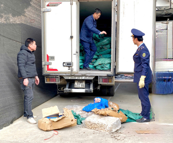 Lạng Sơn phát hiện 2.260 kg lòng bò đông lạnh đang trên đường đi tiêu thụ