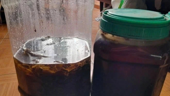 Bộ Y tế yêu cầu điều tra, xử lý nghi ngờ ngộ độc do sử dụng rượu ngâm lá cây lạ ở tỉnh Quảng Ninh
