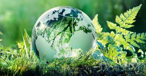 Thành lập Ban tổ chức Hội nghị thượng đỉnh Diễn đàn Đối tác vì Tăng trưởng xanh và Mục tiêu toàn cầu