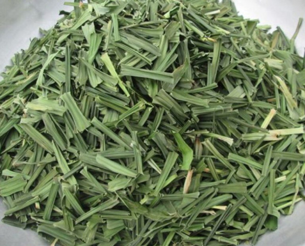 Cách dùng lá dứa thơm hỗ trợ điều trị tiểu đường