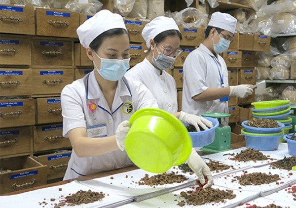 Hà Nội nâng cao nhận thức, trách nhiệm việc phát triển toàn diện y dược cổ truyền
