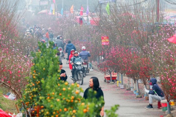 Dự báo thời tiết ngày 25/1: Miền Bắc mưa phùn, sương mù, trời rét