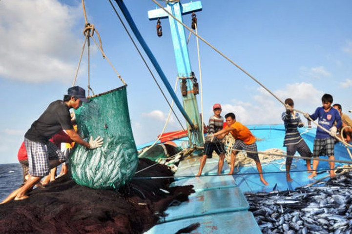 Kết luận của Phó Thủ tướng tại Hội nghị lần thứ XII Ban Chỉ đạo Quốc gia về chống khai thác hải sản bất hợp pháp