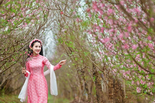 Dự báo thời tiết ngày 29/1: Miền Bắc rét đậm về đêm và sáng sớm, ngày nắng