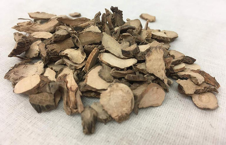 Bài thuốc chữa bệnh từ vị thuốc xương bồ