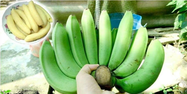 Chuối già hương có thể điều trị đau bao tử (đau dạ dày)