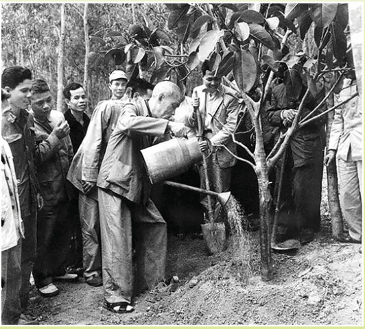 Bác Hồ với "Tết trồng cây"