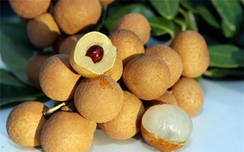 Cách dùng hạt nhãn điều trị viêm mũi dị ứng, đau dạ dày và ghẻ lở