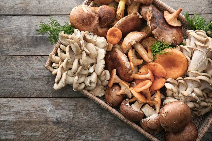 8 lợi ích của nấm