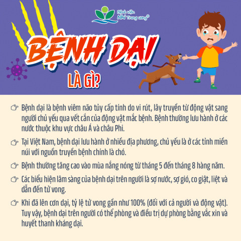 Infographic: Bệnh dại, cách xử trí vết thương và phòng bệnh