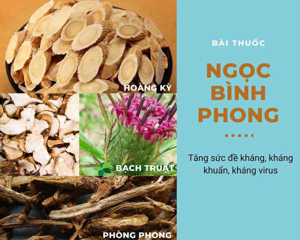 Bài thuốc phòng và điều trị cúm mùa