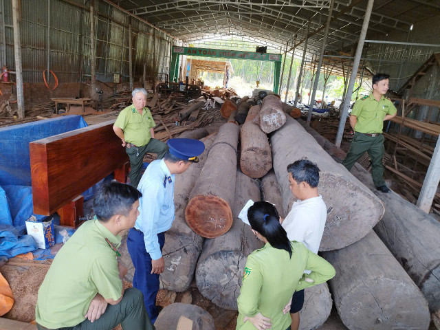 Tây Ninh: Kiểm tra, ngăn chặn mua bán, vận chuyển động vật hoang dã trái phép và chống phá rừng, lấn, chiếm rừng trái pháp luật