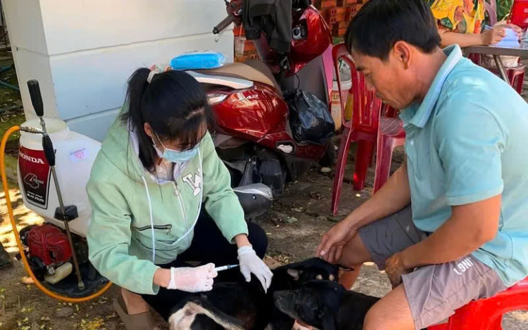 Bình Thuận: Phát thông báo khẩn tìm người tiếp xúc với chó dại