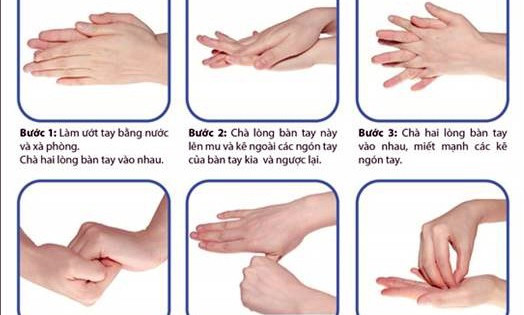 Các thời điểm quan trọng phải rửa tay và quy trình rửa tay sạch của Tổ chức Y tế Thế giới