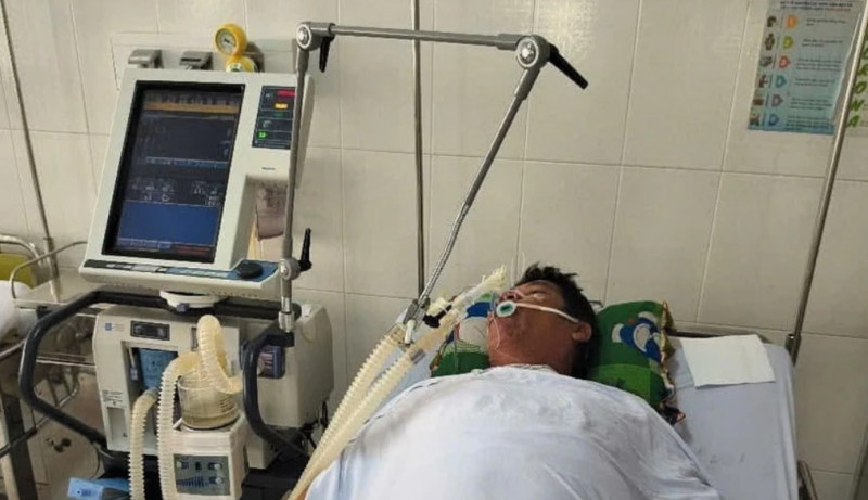Cà Mau: 4 người phải nhập viện cấp cứu sau khi ăn cá nóc