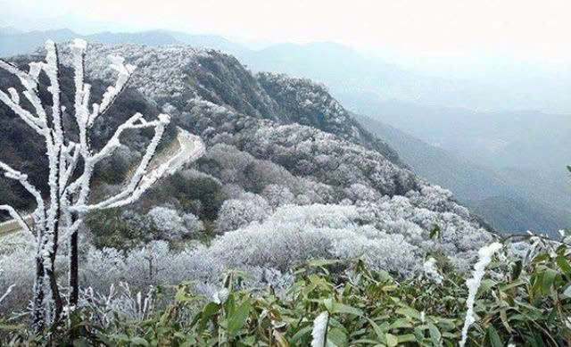 Tin gió mùa Đông Bắc