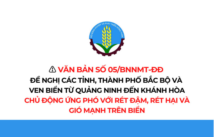 Các tỉnh, thành phố khu vực Bắc Bộ và ven biển chủ động ứng phó với rét đậm, rét hại và gió mạnh trên biển