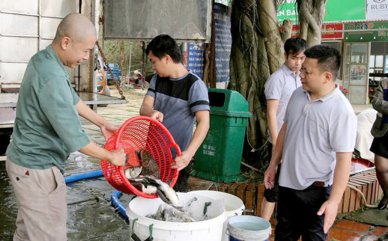 Yên Bái: Thả hơn 12,6 triệu con cá giống tại hồ Thác Bà