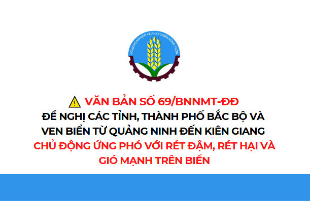 Chủ động ứng phó với rét đậm, rét hại và gió mạnh trên biển