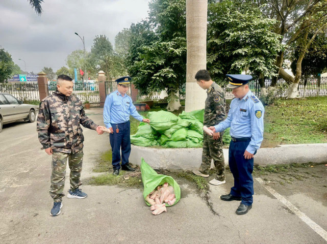 Lạng Sơn: Phát hiện 500kg móng giò đông lạnh, không đảm bảo an toàn thực phẩm tại Lộc Bình