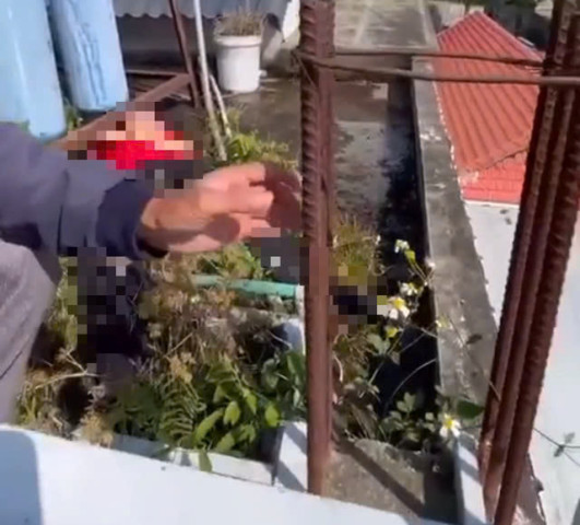 Đắk Lắk: Nam sinh lớp 7 tử vong do điện giật khi chơi trốn tìm với bạn