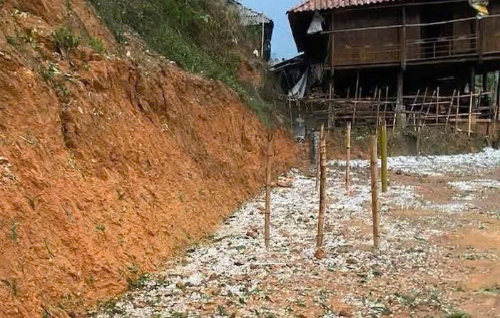 Sơn La: Ghi nhận thiệt hại do mưa đá tại huyện Thuận Châu