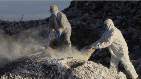 Mexico: Ghi nhận ca tử vong đầu tiên ở người do virus cúm gia cầm H5N1