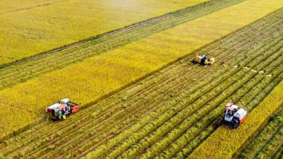 Định hướng truyền thông về nông nghiệp và môi trường năm 2025