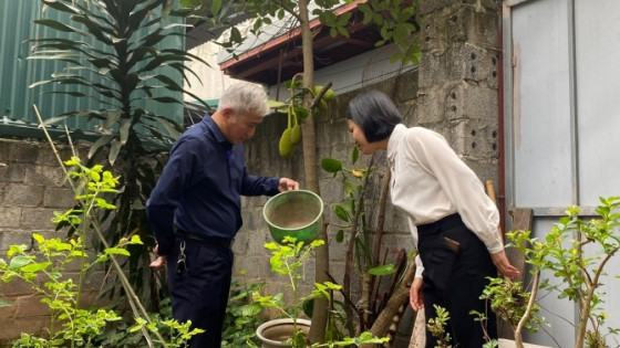 Hà Nội: Tình hình dịch bệnh trên địa bàn thành phố từ ngày 4/4 đến 11/4