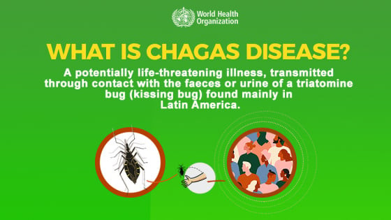 Ngày Thế giới phòng chống bệnh Chagas 14/4/2025: Bệnh Chagas – Mối đe dọa sức khỏe toàn cầu đang bị bỏ quên