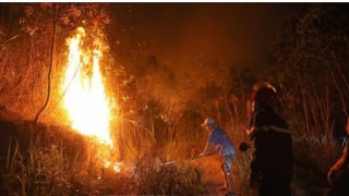 Vĩnh Phúc: Cháy lớn tại khu rừng trồng bạch đàn  tại huyện Tam Đảo