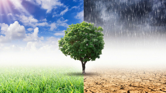 Các chiến lược ứng phó trước thời tiết cực đoan