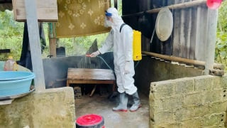 Lào Cai: Tăng cường phòng, chống dịch sốt xuất huyết