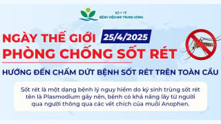 Ngày Thế giới phòng chống sốt rét - World Malaria Day (25/4/2025)