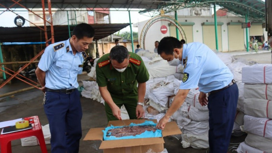 Mở đợt cao điểm ngăn chặn, đẩy lùi buôn lậu, gian lận thương mại từ 15/5 đến 15/6/2025