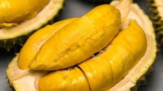 Mẹo chọn sầu riêng chín cây, không ngâm hóa chất