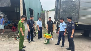 Cà Mau: Tạm giữ hơn 25 tấn thực phẩm không rõ nguồn gốc tại kho lạnh ở Móng Cái