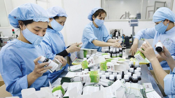 Bộ Y tế: Tăng cường tuân thủ GMP và kiểm tra, giám sát hoạt động sản xuất tại các cơ sở sản xuất thuốc