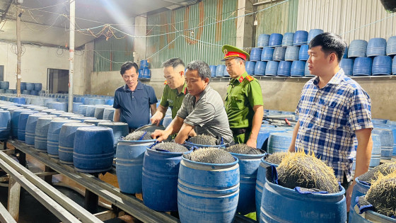 Nguy hại từ gần 350 tấn giá đỗ đã được bán ra thị trường tại Lào Cai