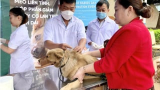 Gia Lai: Ghi nhận thêm một ca tử vong do bệnh dại