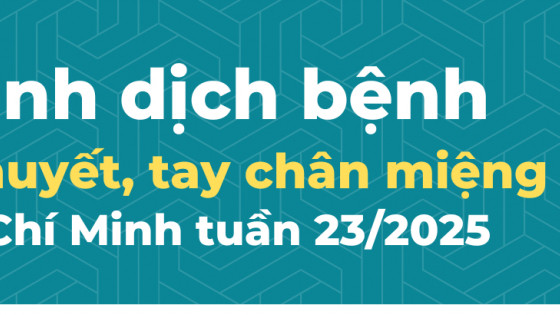 TP. Hồ Chí Minh: Ghi nhận 320 trường hợp mắc bệnh sốt xuất huyết trong tuần 23
