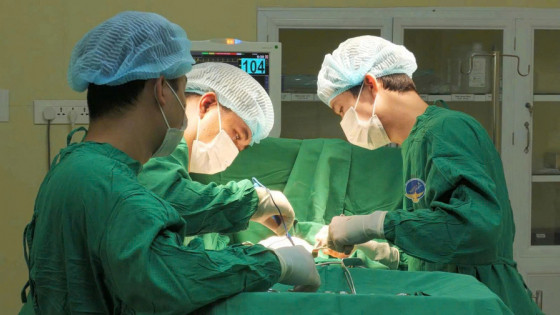 TP Hồ Chí Minh: Cắt bỏ hai vú do tự ý dùng ong đốt để chữa ung thư