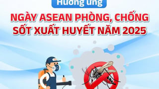 Những điều cha mẹ cần lưu ý khi trẻ mắc sốt xuất huyết