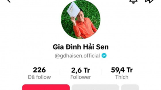 Chủ kênh TikTok "Gia đình Hải Sen" bị bắt nghi buôn bán hàng giả