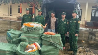 Quảng Ninh: Thu giữ 1.170kg trứng gà non không rõ nguồn gốc